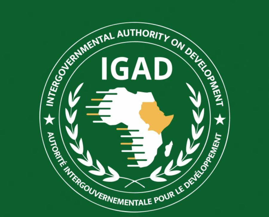 28ceca2a56cf1ce6e92bc4d8901cc87a_XL_jpg