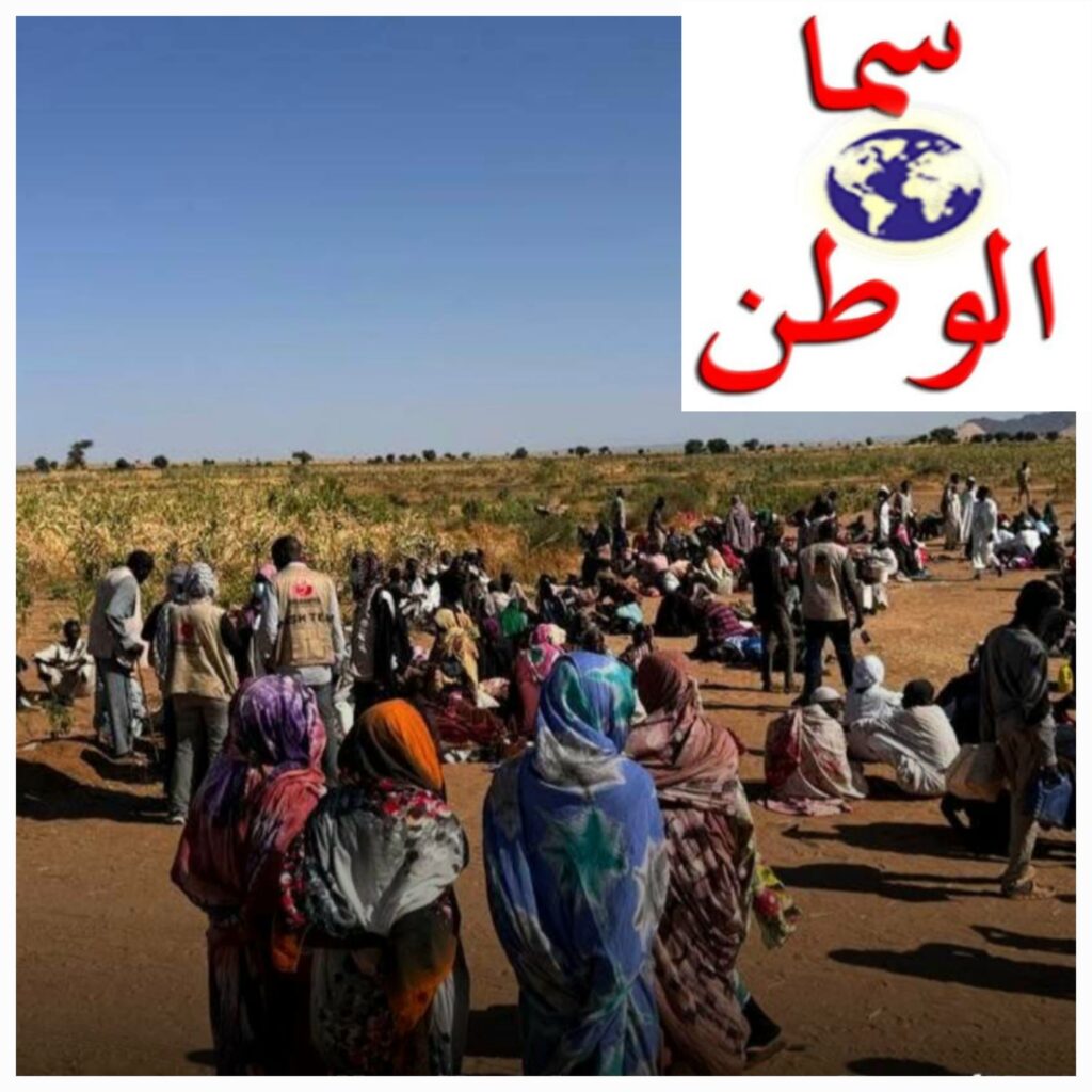 ٢٠٢٦٠١١٤_١٤٣٠٢٩