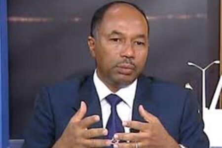 عادل-عبد-العزيز-450x300