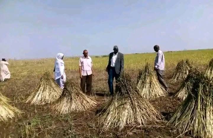 FB_IMG_1774356715961