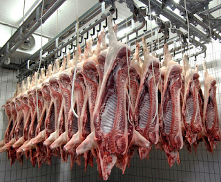 Abattoir