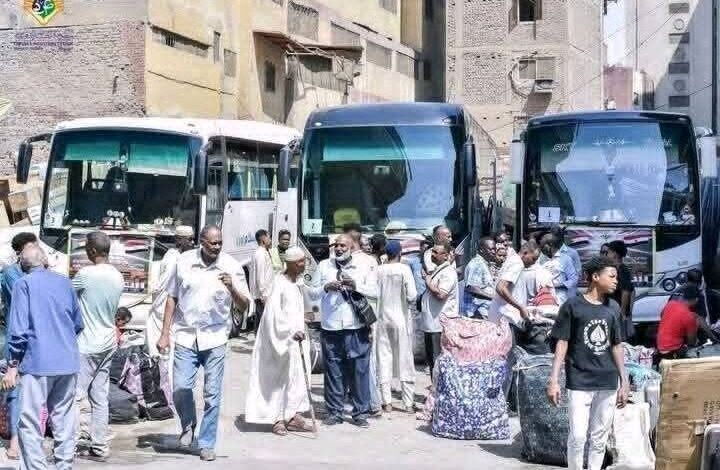 العودة-720x485-1-720x470