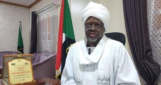 قنصلية-اسوان