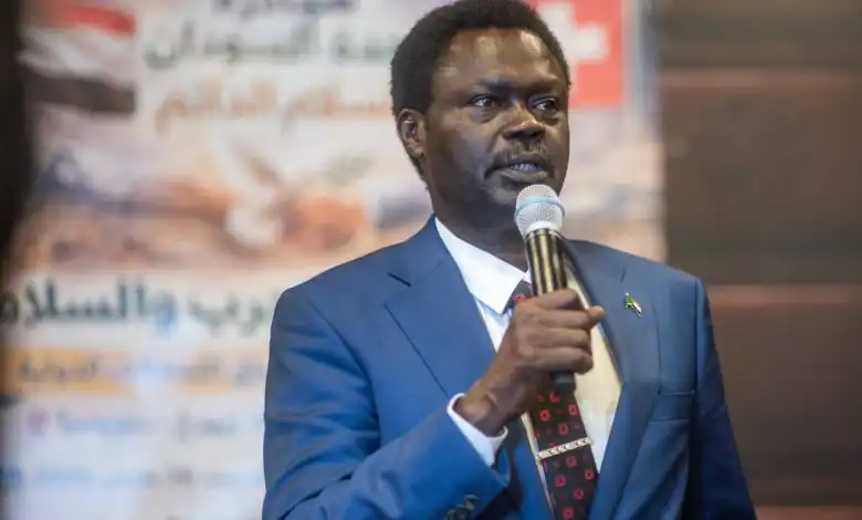 مناوي-3-780x470