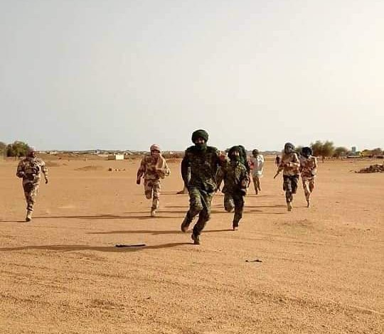 قروب-المليشيا