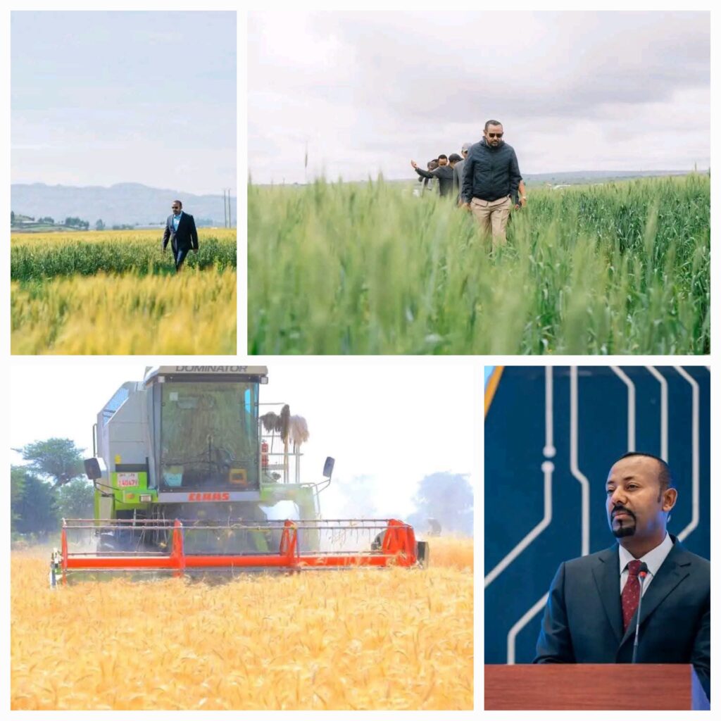 ٢٠٢٦٠٦٢٣_١٢٠٣٢٤