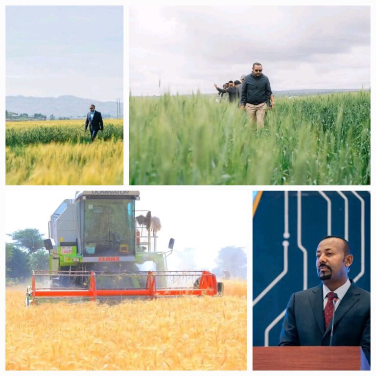 ٢٠٢٦٠٦٢٣_١٢٠٣٢٤